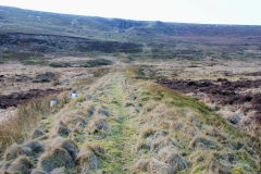 Coity Quarry incline, Blaenavon, March 2010